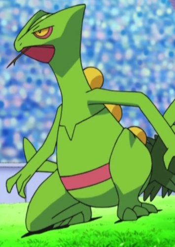 Sceptile