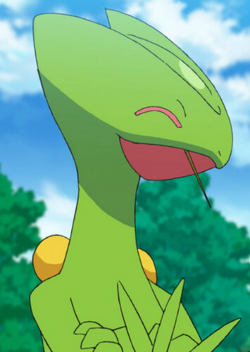 Sceptile (English Dub)