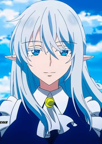 Schnee Raizar
