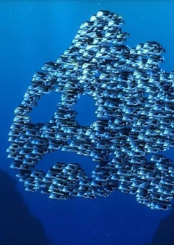 School of Fish