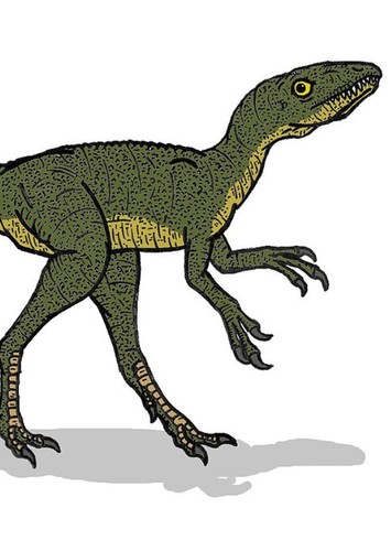 Scipionyx