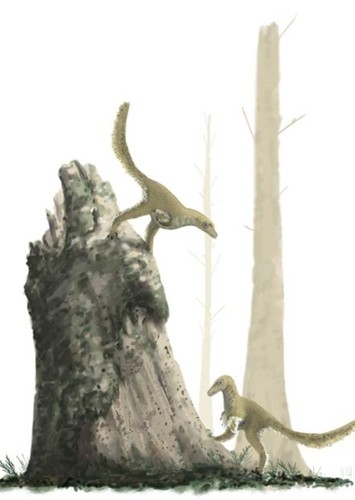 Sciurumimus