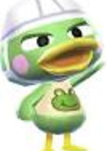 Scoot