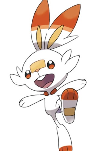 Scorbunny (Goh's)