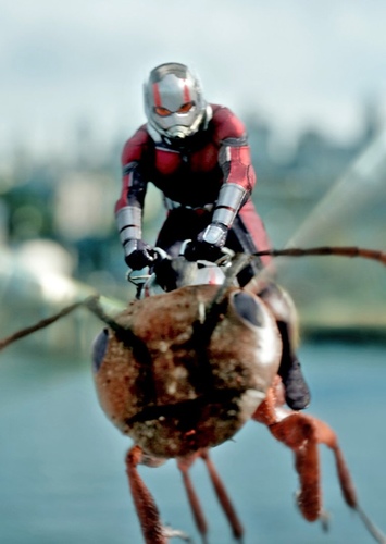 Scott Lang