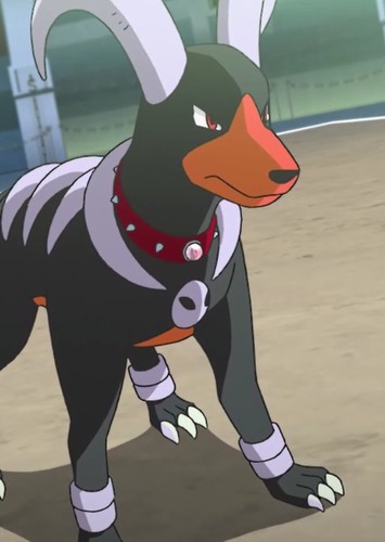 Scourge's Houndoom