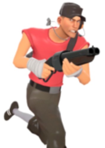The Scout