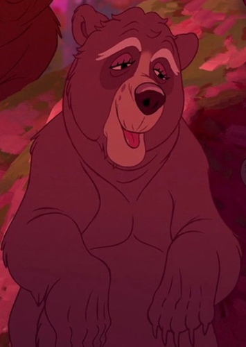 Scrawny Old Lady Bear