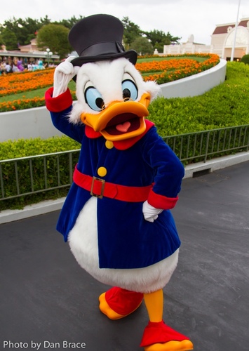 Scrooge McDuck