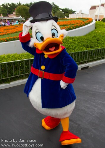 Scrooge McDuck