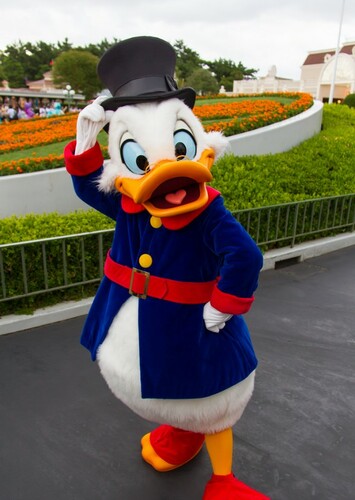 Scrooge McDuck