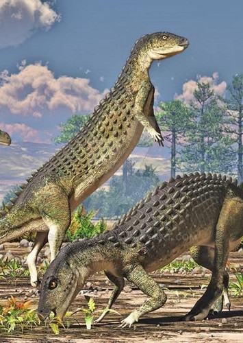 Scutellosaurus
