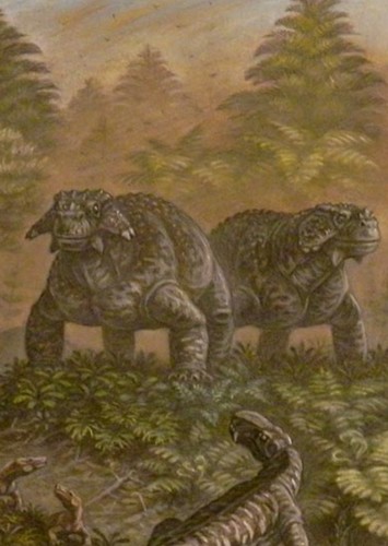 Scutosaurus