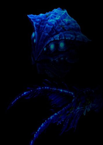 Sea Guard