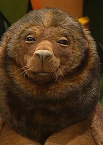 Sea Lion