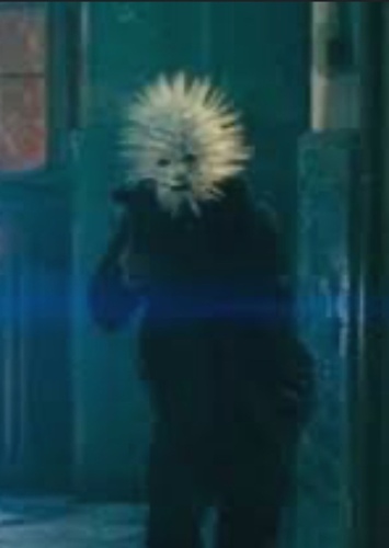 Sea Urchin