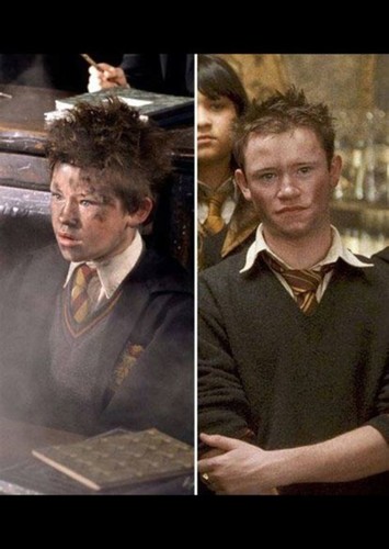 Seamus Finnigan