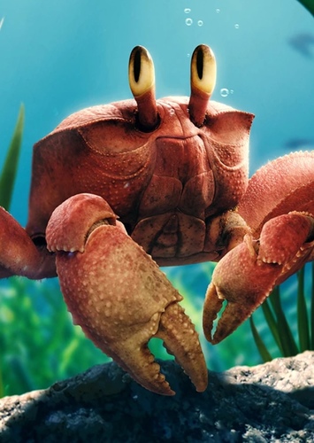 Sebastian