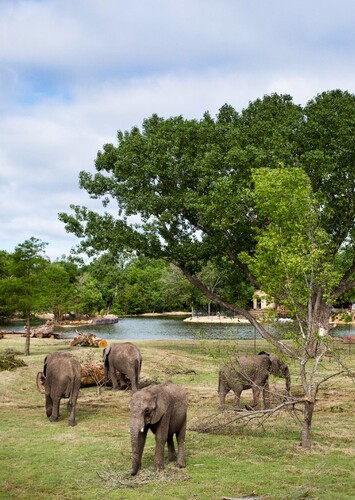 Sedgwick County Zoo
