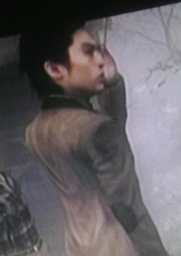 Seigo saiga