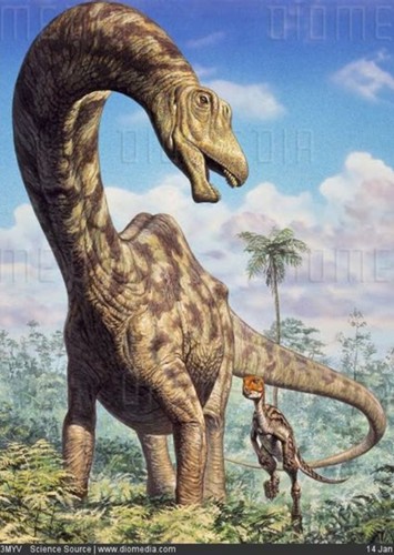 Seismosaurus