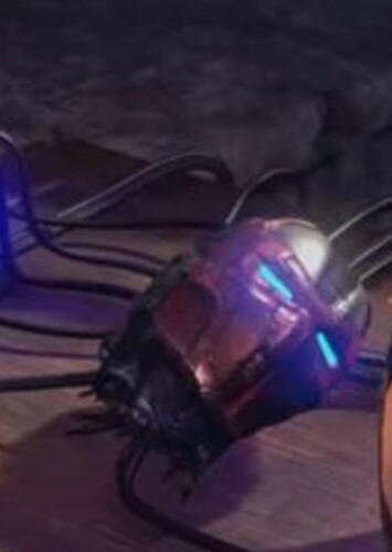 Sektor