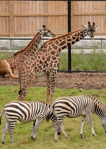 Seneca Park Zoo
