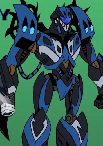 Sentry