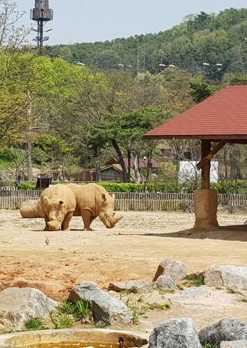 Seoul Zoo