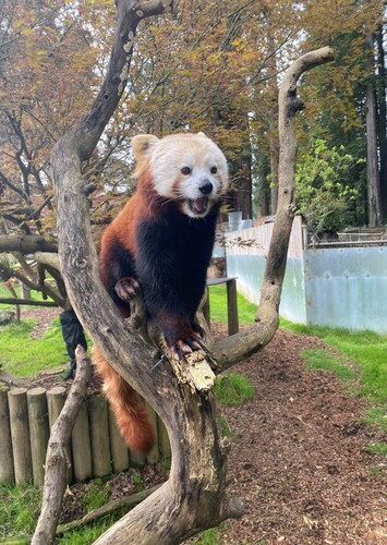 Sequoia Park Zoo