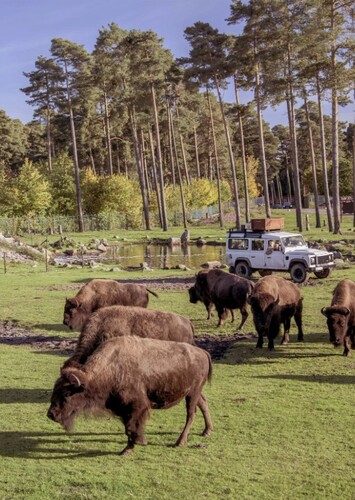 Serengeti Park