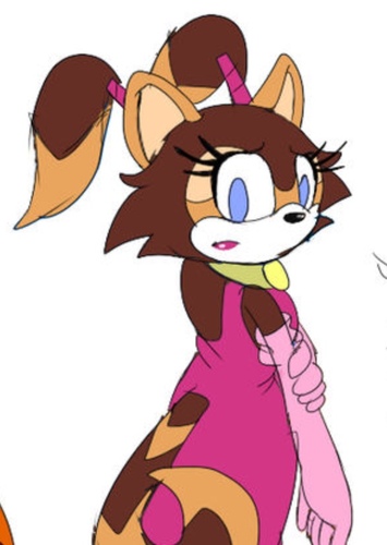 Serro the Racoon