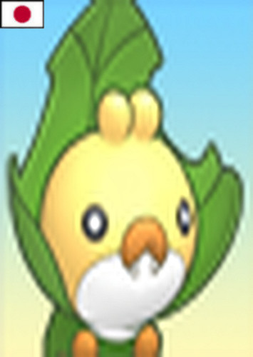 Sewaddle (Japanese)