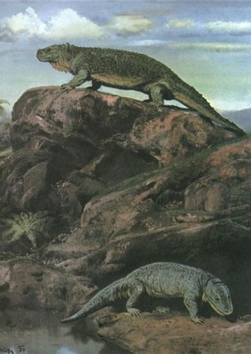 Seymouria