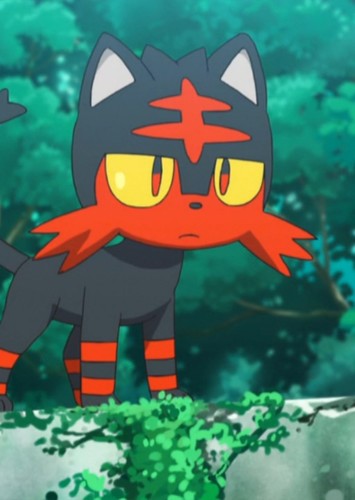 Shadow's Litten