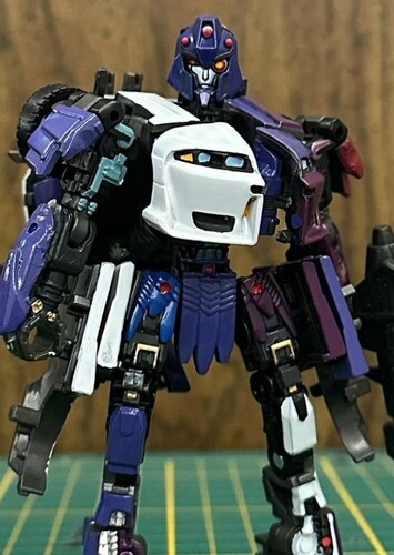 Shadow striker