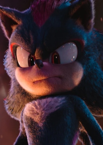 Shadow The Hedgehog