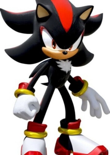 Shadow the hedgehog