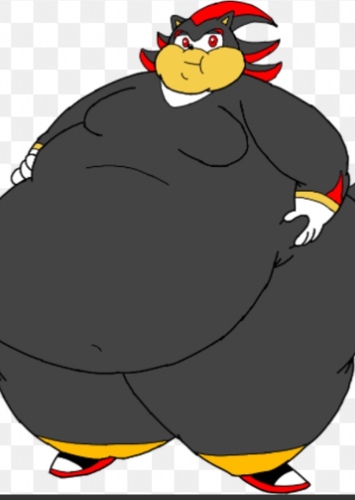 Shadow the Hedgehog