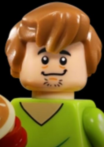 Shaggy Rogers