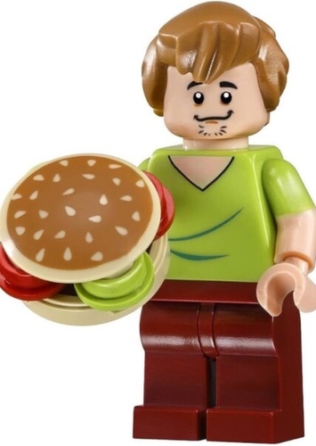 Shaggy