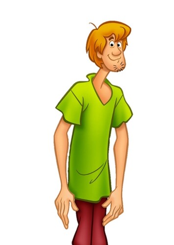 Shaggy Rogers