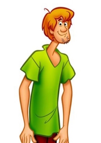Shaggy Rogers
