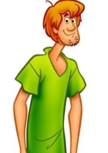 Shaggy Rogers