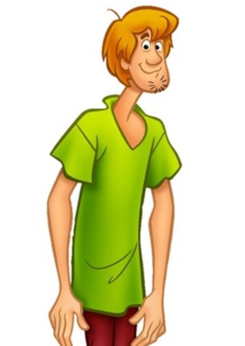 Shaggy Rogers