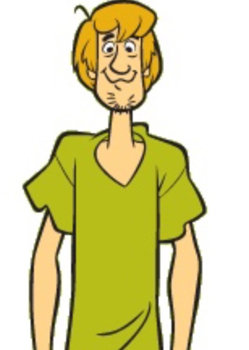 Shaggy Rogers
