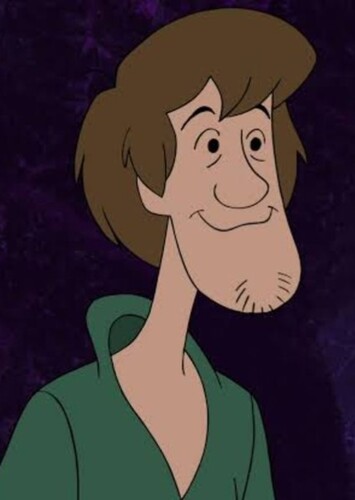 Shaggy Rogers