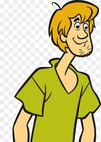 Shaggy Rogers