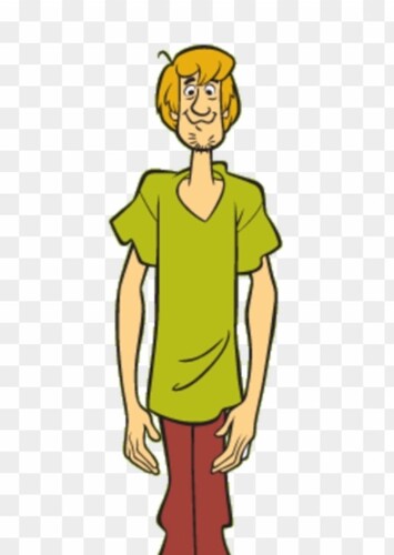 Shaggy Rogers