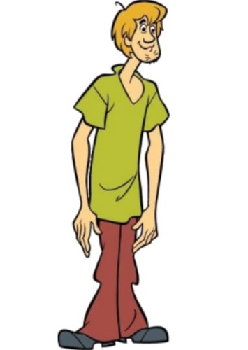 Shaggy Rogers